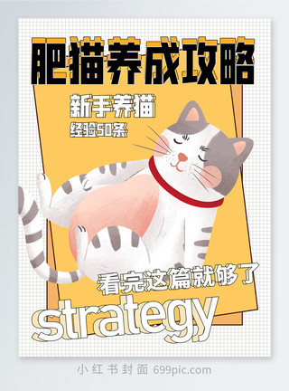 手ipad猫咪宠物养成攻略小红书封面模板