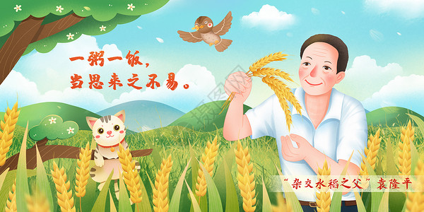 先生们夏天农忙时期研究水稻的袁隆平先生插画