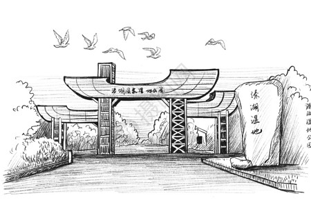 海珠湖湿地公园国内旅游景点泰州速写溱湖国家湿地公园插画