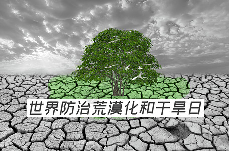 世界防治荒漠化和干旱日背景图片