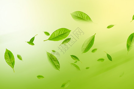 绿茶汤清新叶子背景设计图片