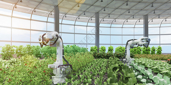 蔬菜农业生命科技场景设计图片