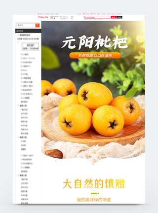 枇杷详情页水果枇杷电商详情页模板