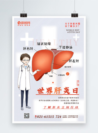 白色医疗背景白色世界肝炎日海报模板