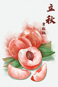 立秋食秋桃插画图片