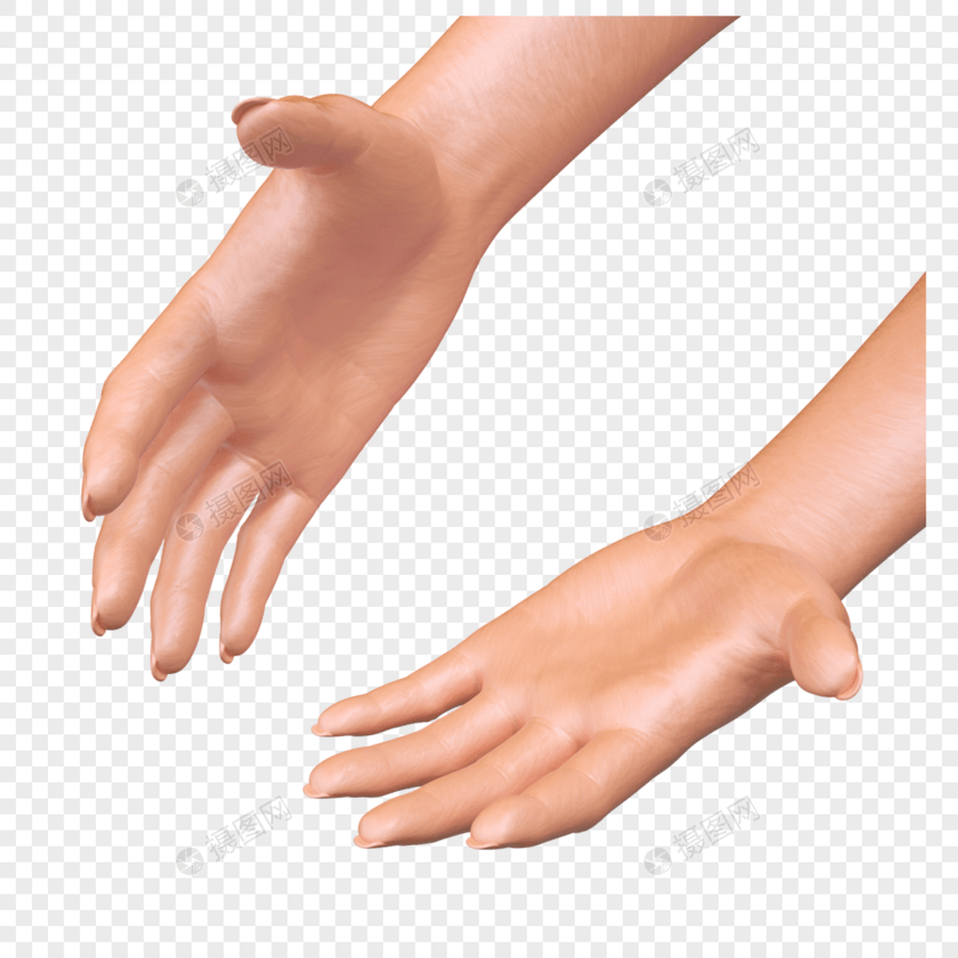 手手势双手模型3D免扣图片