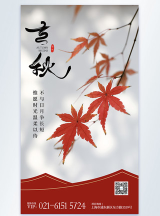 红枫叶简约立秋节气摄影图海报模板