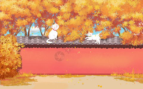 两只玩耍中猫立秋金黄色秋天景色场景背景插画插画