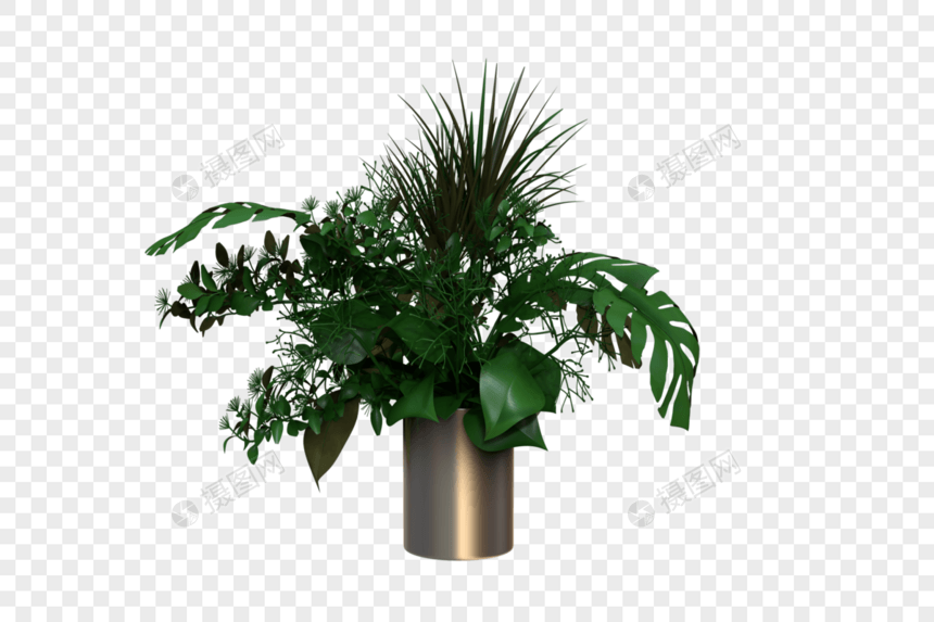 植物3d模型图片