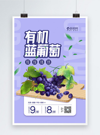 生态美食有机蓝葡萄促销宣传海报模板