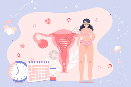 子宫卵巢妇科扁平矢量插画高清图片