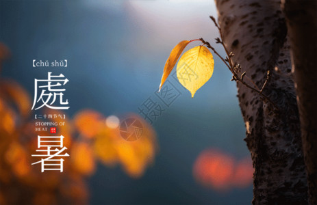 黄叶树秋叶处暑GIF高清图片