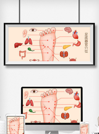 脚底穴位足底穴位器官科普医疗插画模板