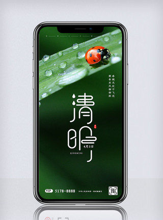 红叶节创意实景风格清明节手机海报模板