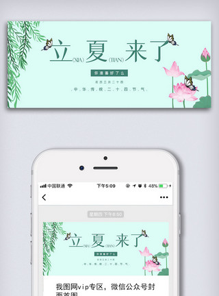 立夏荷花荷叶图中华传统二十四节气立夏微信公众号首图模板