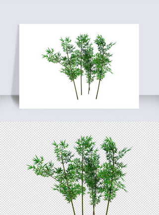 草图绿色草木植物su模型模板