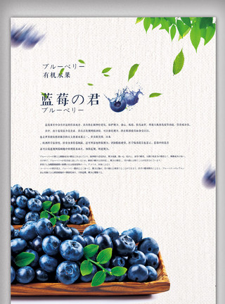 水果店促销展板创意日式风格蓝莓水果户外海报模板
