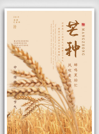 中国节气芒种黄色简约广告设计芒种海报宣传模板