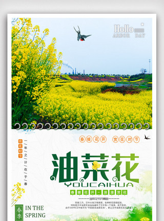 国外外景唯美春季油菜花节海报.psd模板