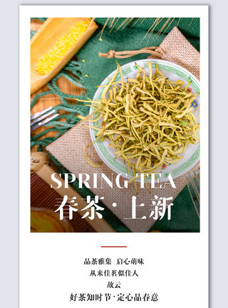 茶摄影图茶叶创意摄影海报设计模板