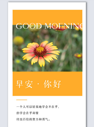 春节横版摄影图海报设计早安宣传设计摄影图海报模板