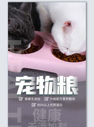 宠物图猫粮创意摄影图海报模板设计模板