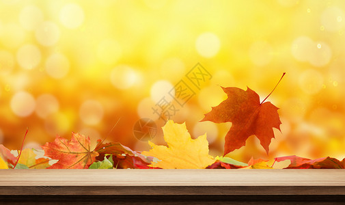 枫叶袜子素材秋天背景设计图片