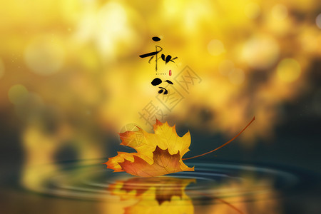 唯美的秋景叶落秋分设计图片