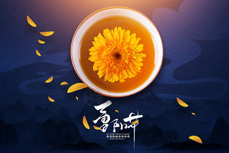 普洱菊花茶重阳节设计图片