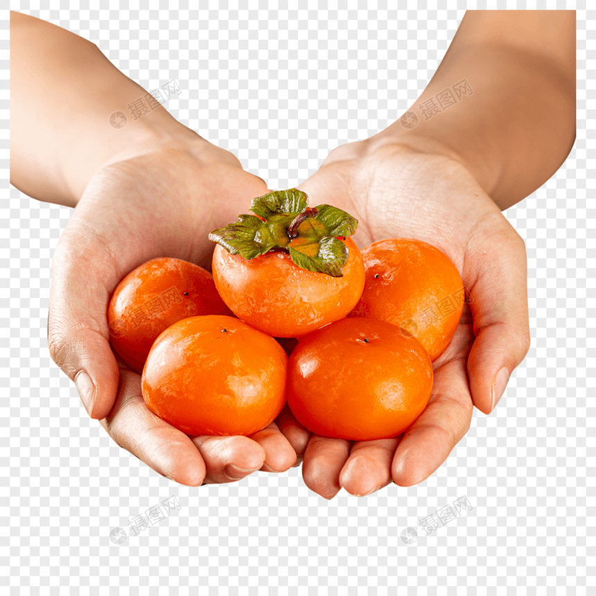 双手捧着柿子图片