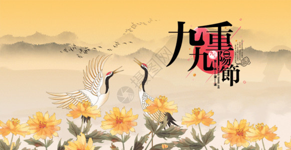 简约中国风菊花中国风重阳节gif动图高清图片