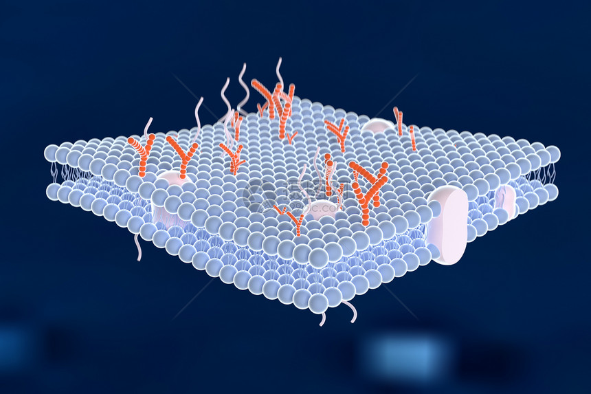三维细胞膜微观场景图片