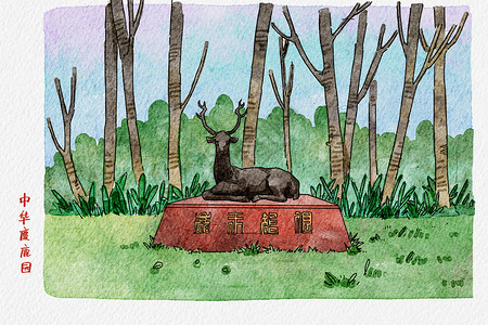 石园江苏5A风景区中华麋鹿园钢笔淡彩插画
