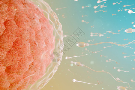 精子卵子三维受精场景设计图片