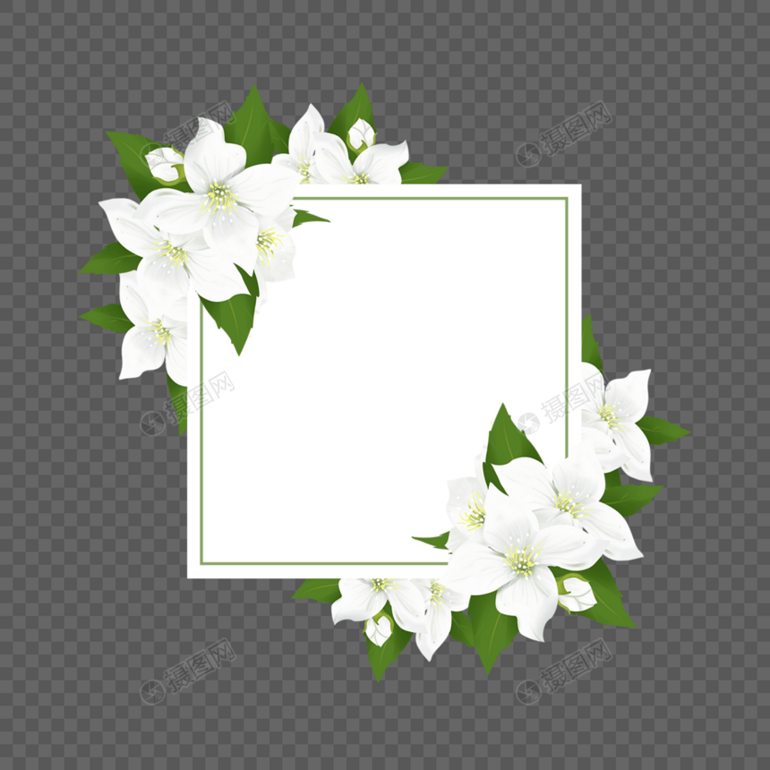 正方形茉莉花卉边框图片