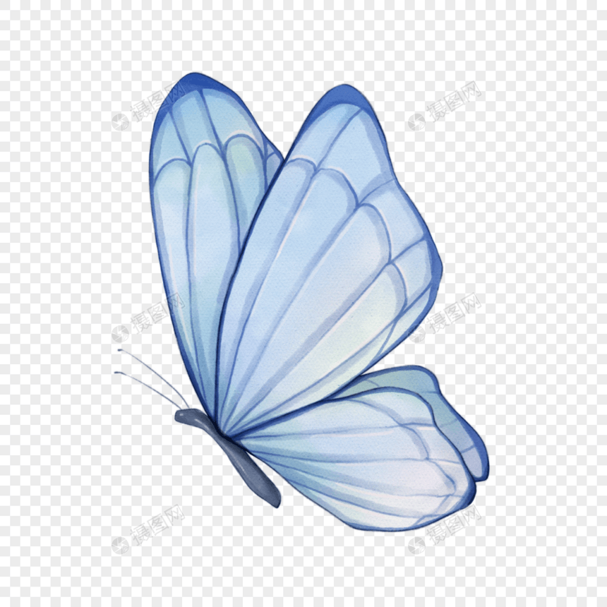水彩晕染淡蓝色蝴蝶图片