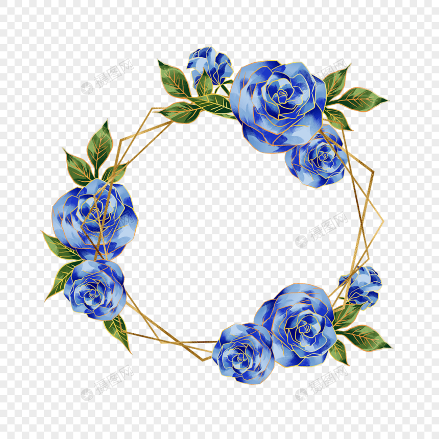 蓝色玫瑰花蓝金花朵花卉植物图片