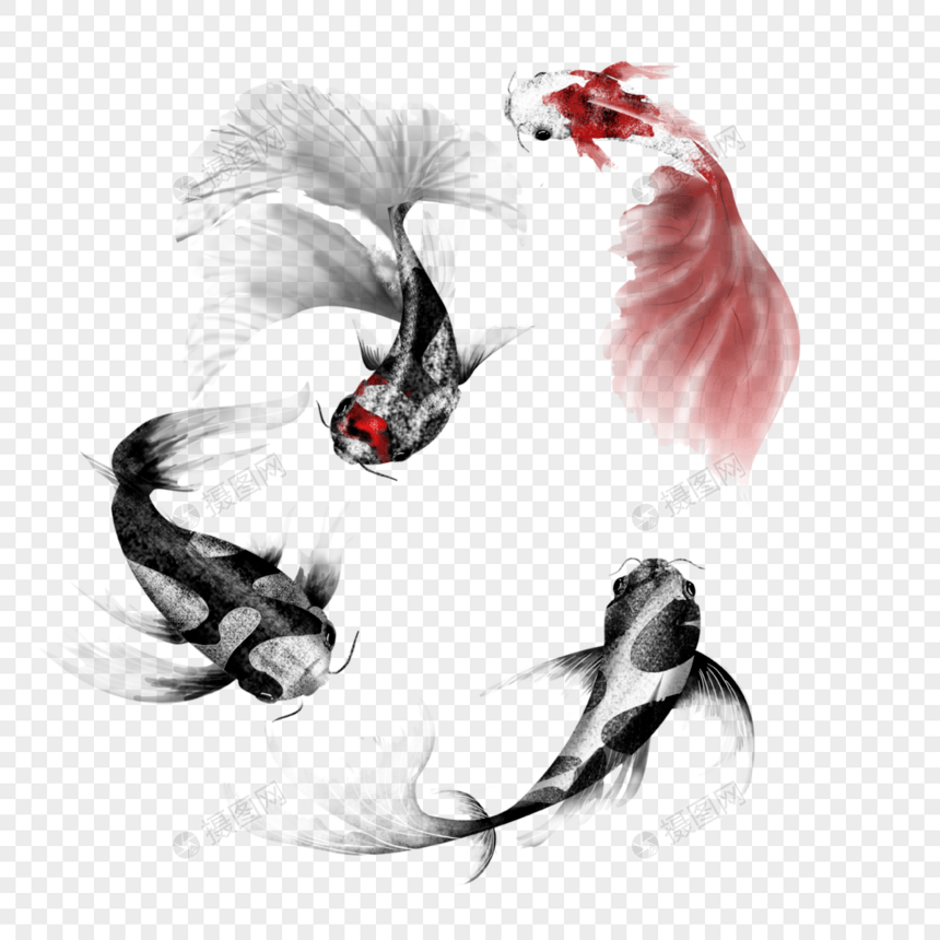 黑色红色斑点花纹锦鲤鱼群图片
