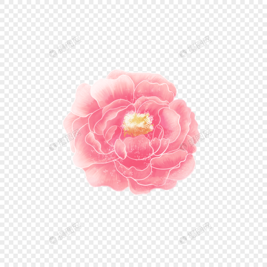 水彩牡丹花卉素材图片