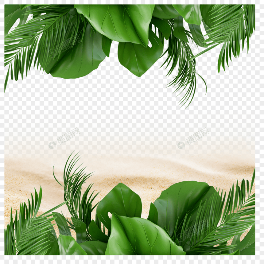 夏季沙滩热带背景绿色植物图片