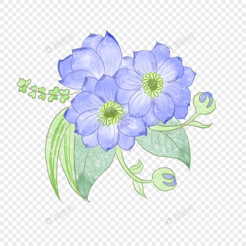 蓝色水彩婚礼花卉银莲花图片