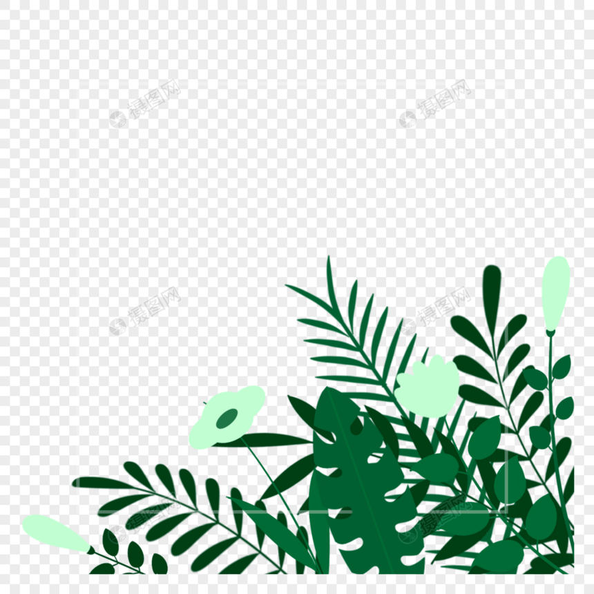 绿色树叶龟背竹边框图片