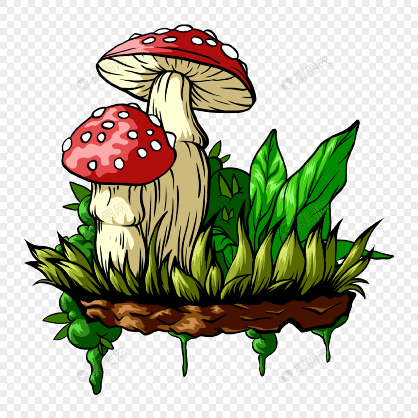 暴走漫画杂草蘑菇植物图片