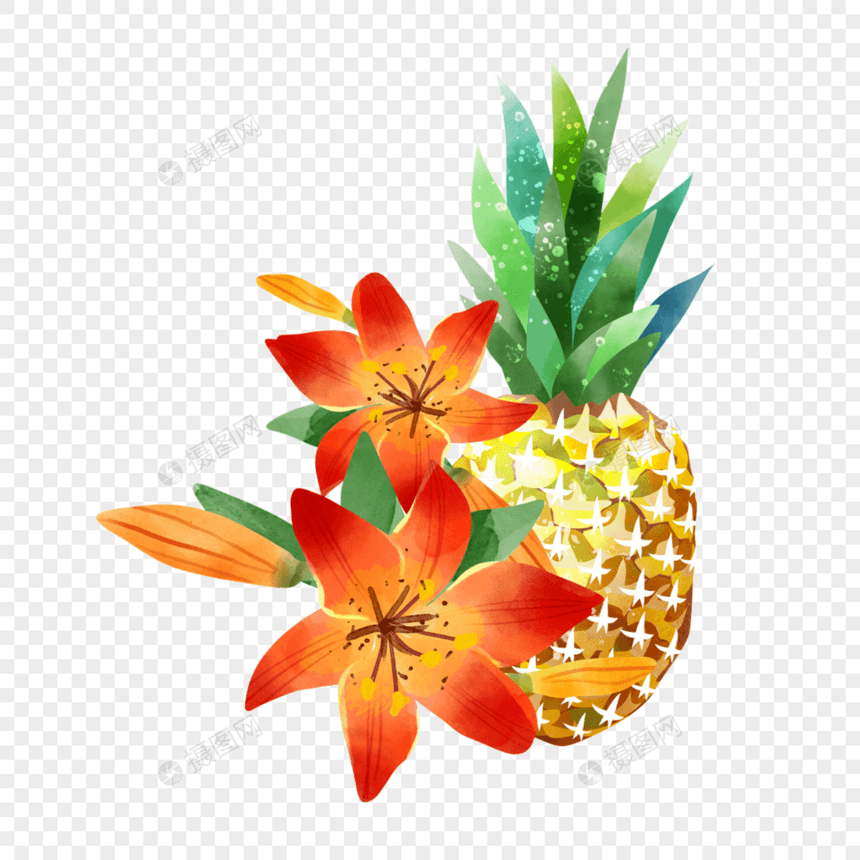 红色百合花卉水彩夏季水果菠萝图片