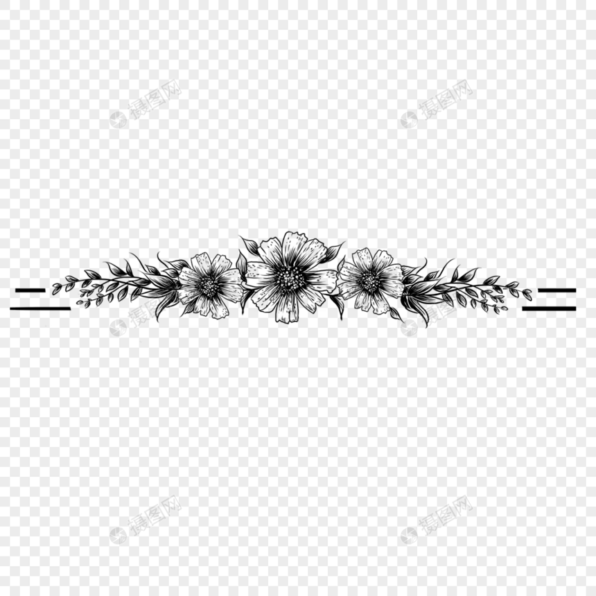 黑白线条分隔线花卉花朵植物艺术线稿图片