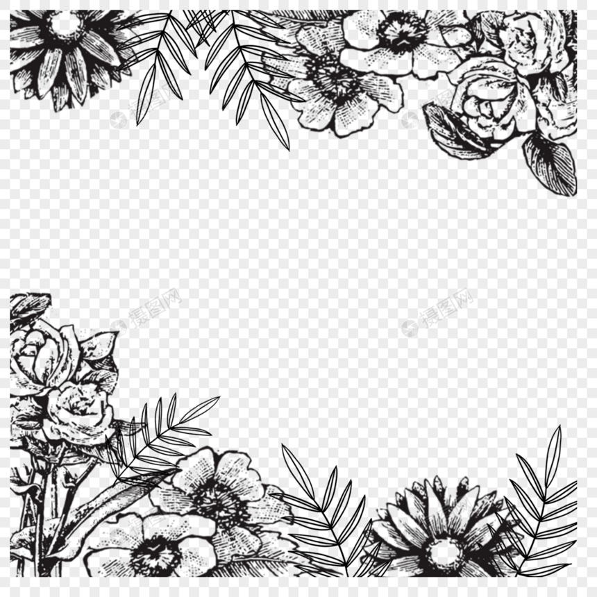 黑色花朵茎叶线稿边框图片