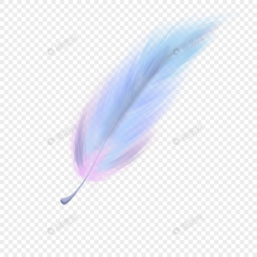 梦幻紫色蓝色羽毛图片