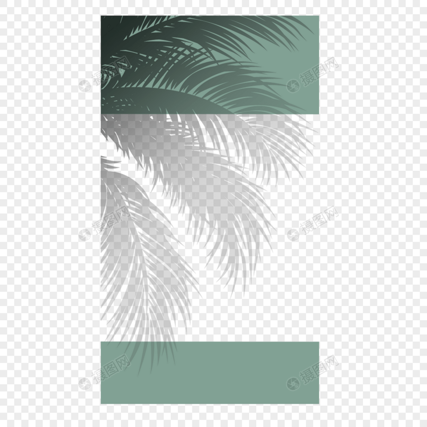 热带夏季树叶阴影叠加绿色边框图片