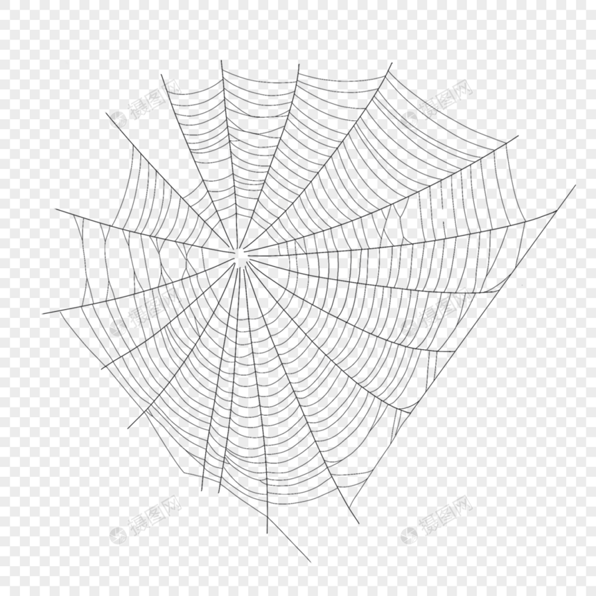 蜘蛛网昆虫细丝黑色线条图片