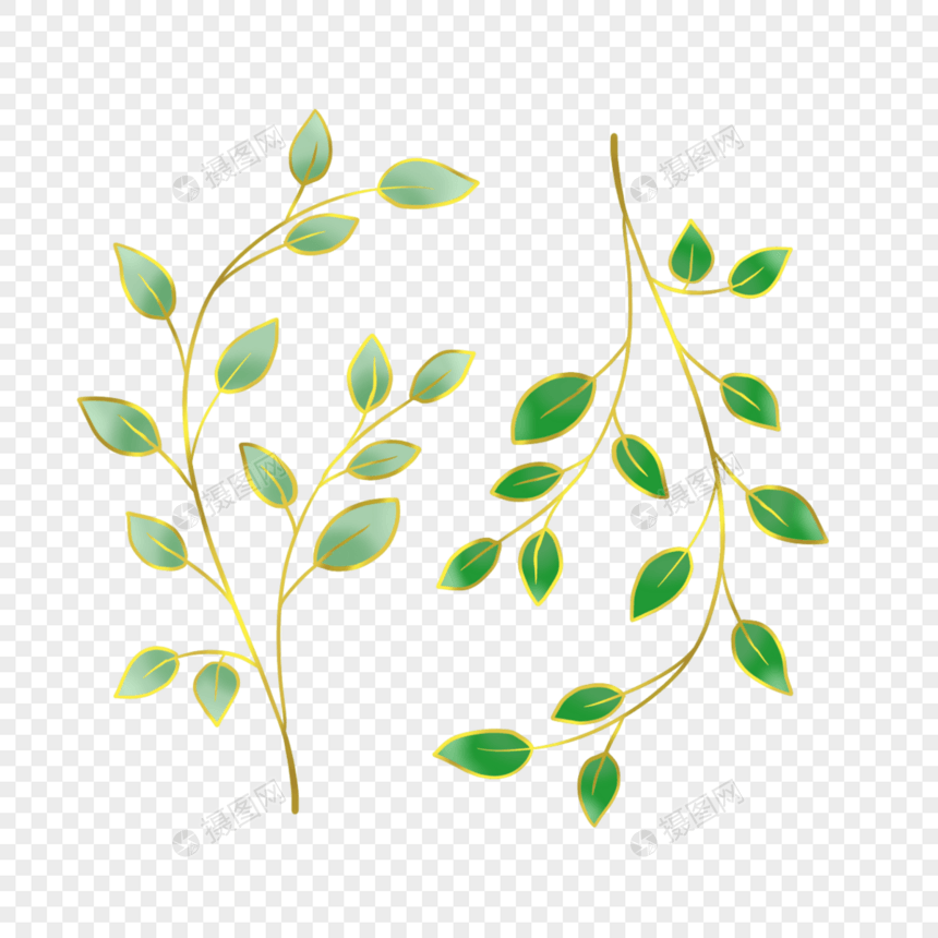 金边光效金线绿色植物叶子枝条图片